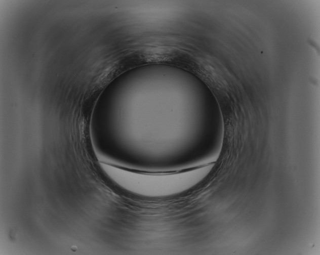 X0000091180219200709061000