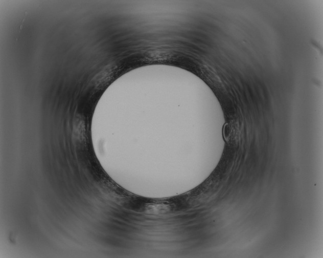 X0000091180220200709061000