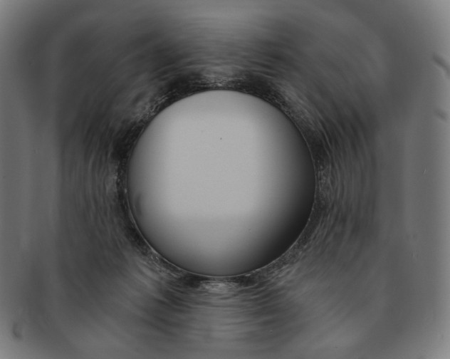 X0000091180221200709061000