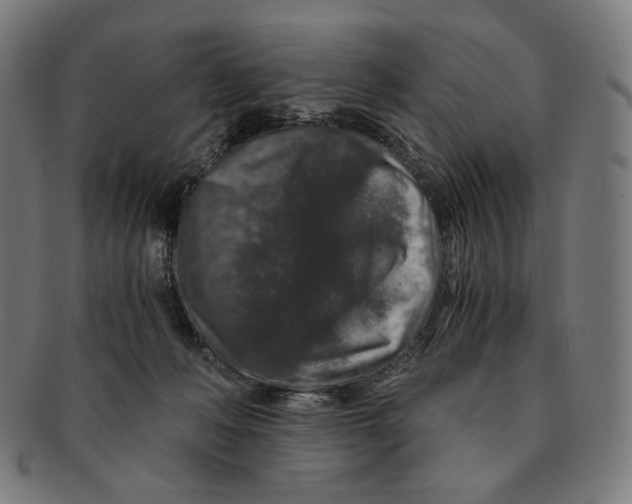 X0000091180222200709061000