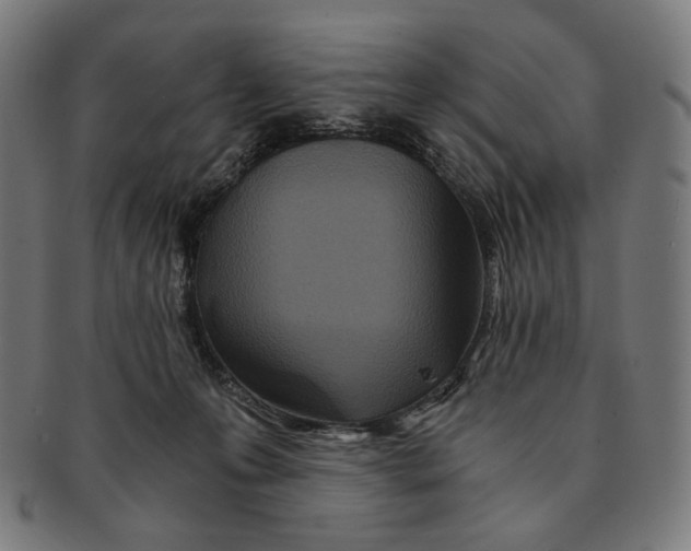 X0000091180223200709061000