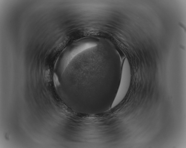 X0000091180224200709061000