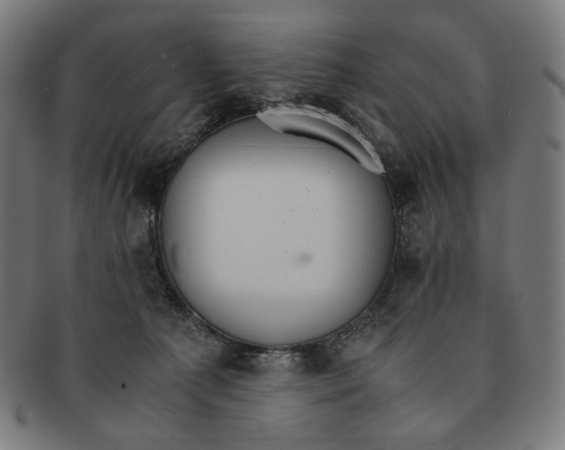 X0000091180225200709061000