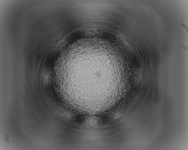 X0000091180226200709061000