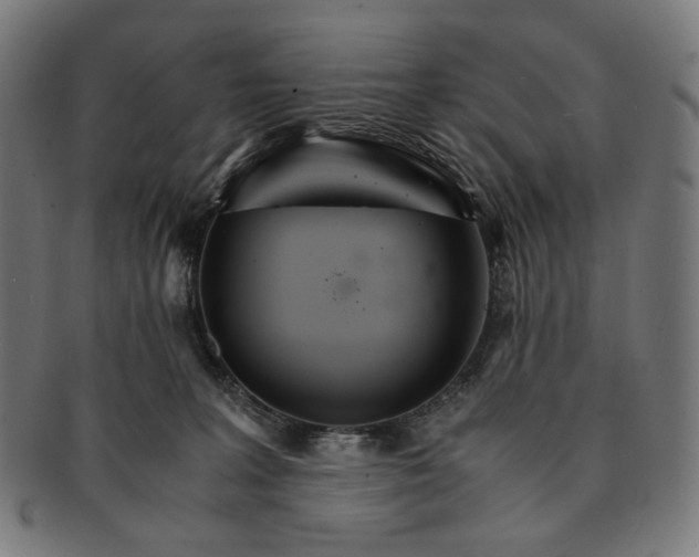X0000091180227200709061000