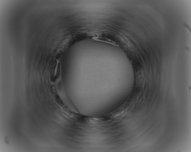 X0000091180229200709061000
