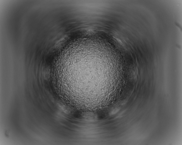 X0000091180230200709061000