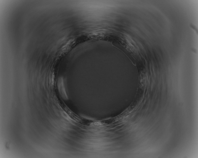 X0000091180231200709061000