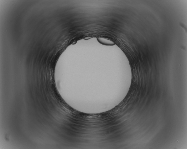 X0000091180232200709061000