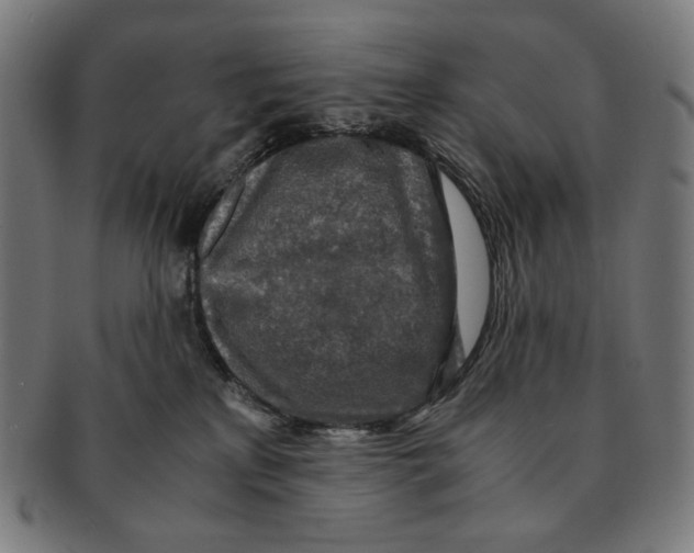 X0000091180233200709061000