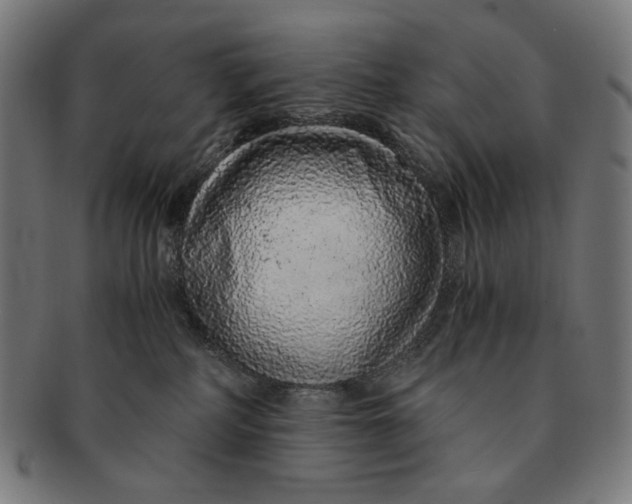 X0000091180234200709061000