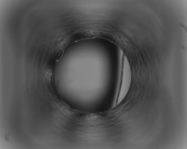 X0000091180235200709061000