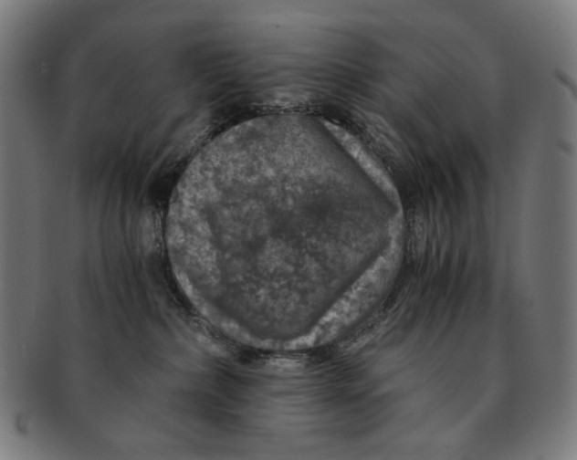 X0000091180236200709061000