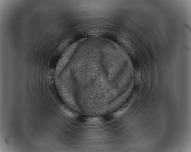 X0000091180237200709061000