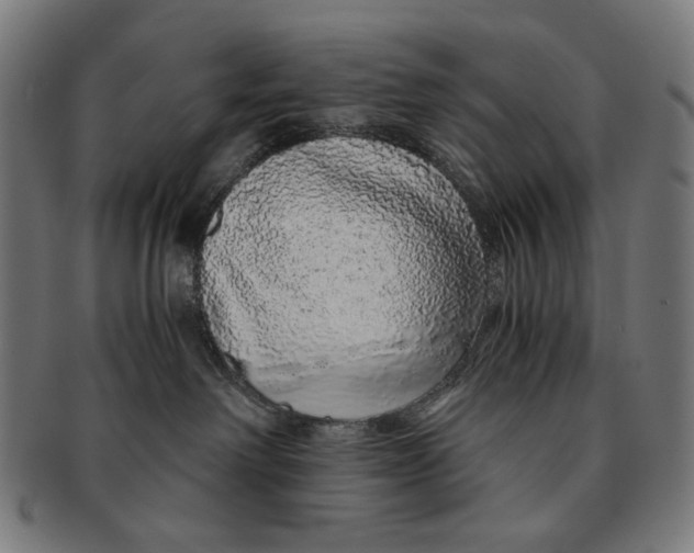 X0000091180238200709061000