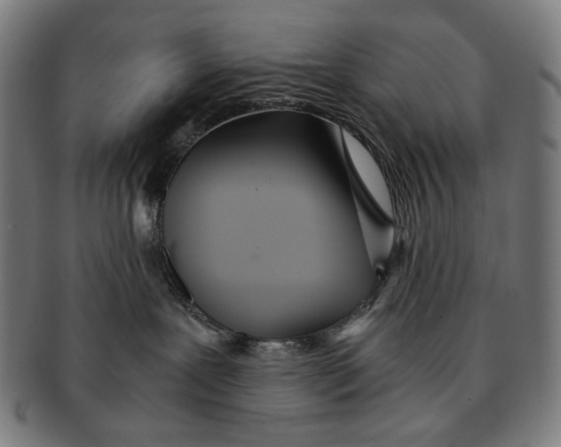 X0000091180239200709061000