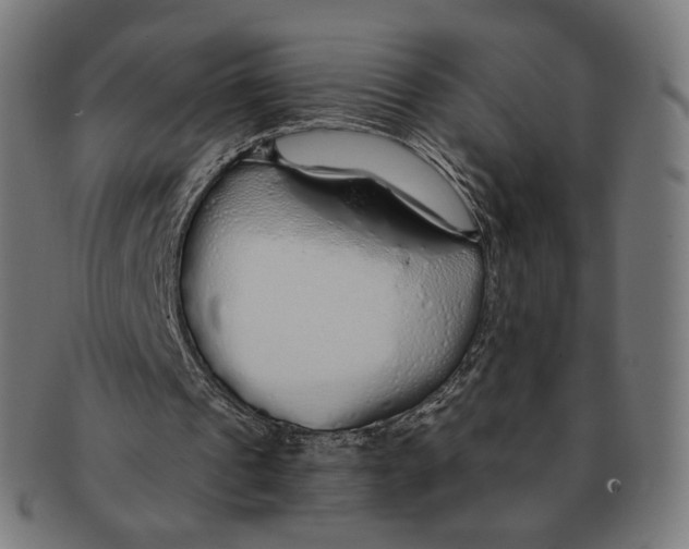 X0000091180241200709060959
