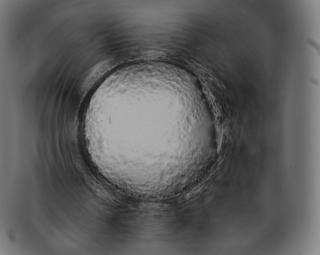 X0000091180242200709060959