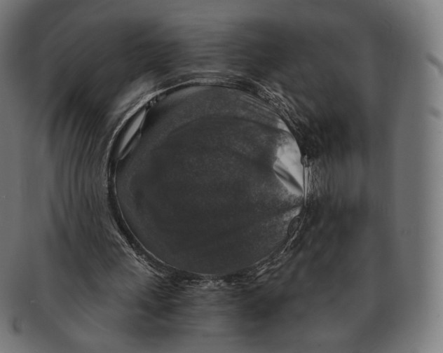 X0000091180243200709060959