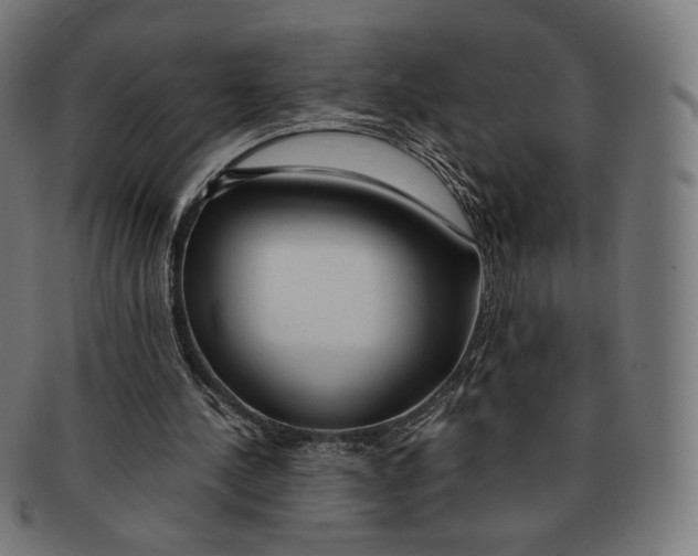 X0000091180244200709060959