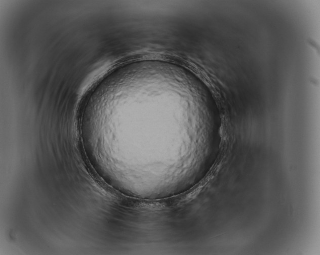 X0000091180245200709060959