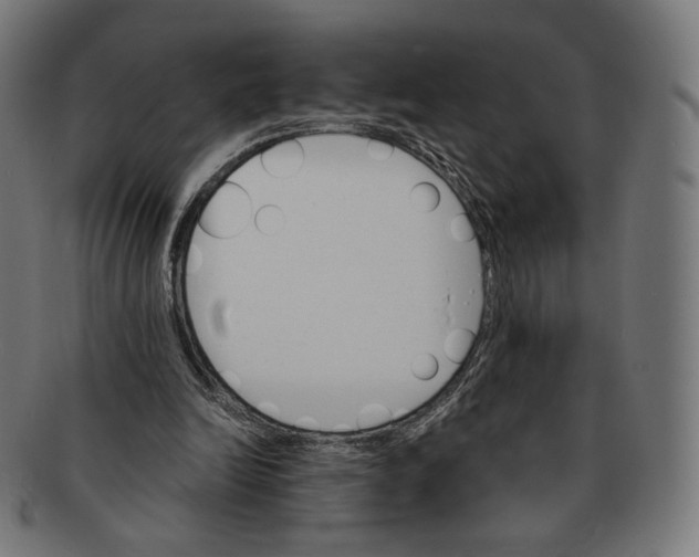 X0000091180246200709060959