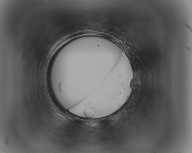 X0000091180247200709060959