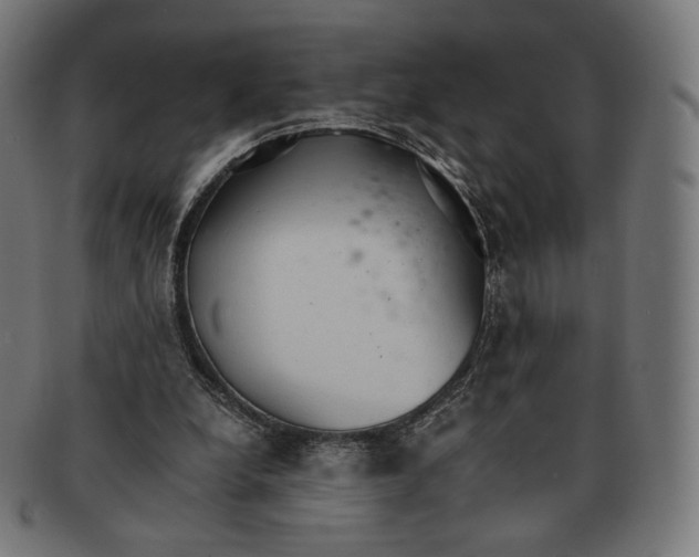 X0000091180248200709060959