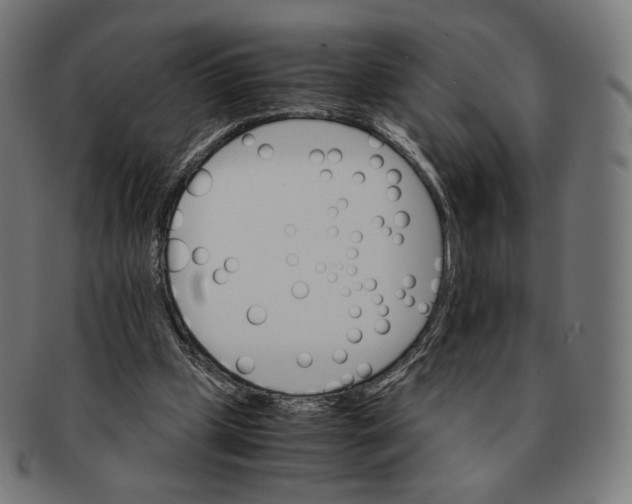 X0000091180249200709060959