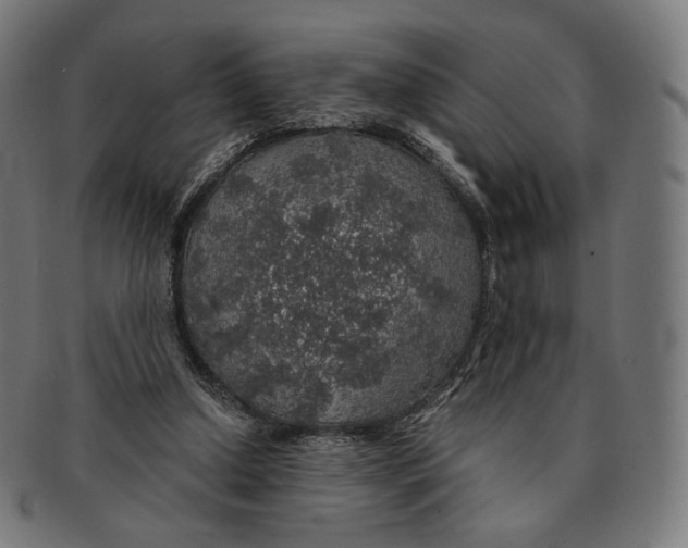 X0000091180250200709060959