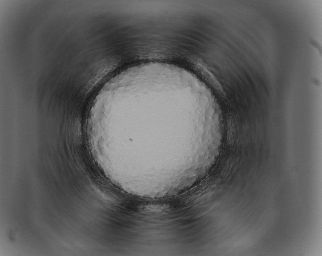 X0000091180251200709060959