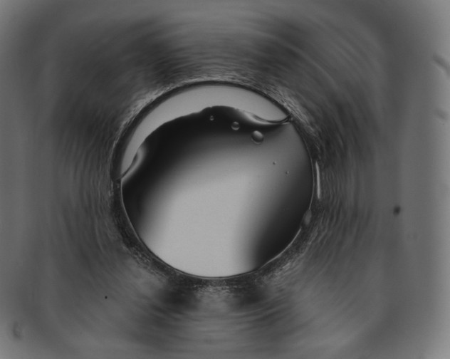 X0000091180252200709060959