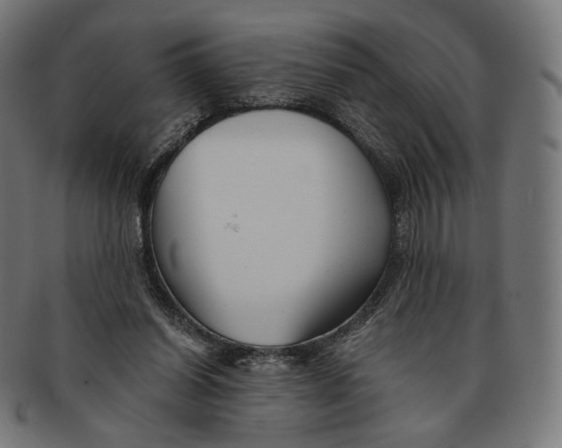 X0000091180254200709060959