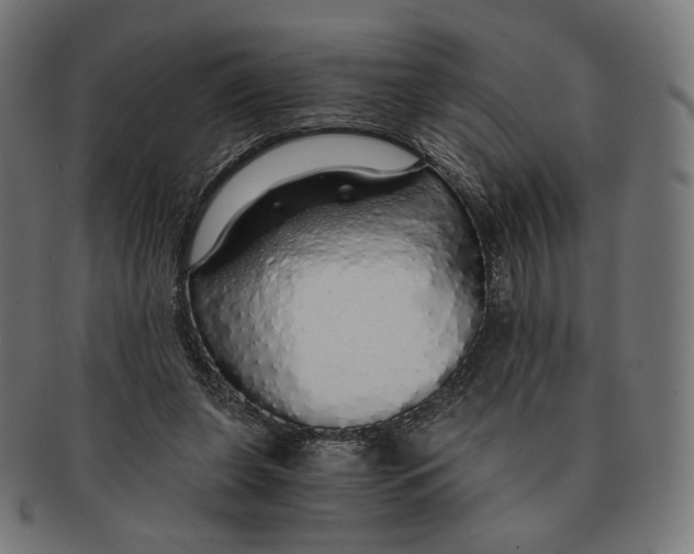 X0000091180255200709060959