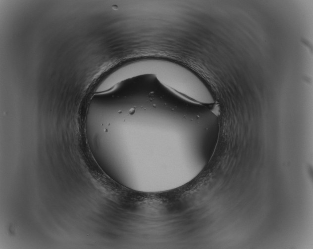X0000091180256200709060959