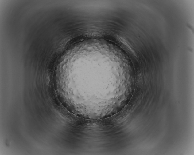X0000091180259200709060959