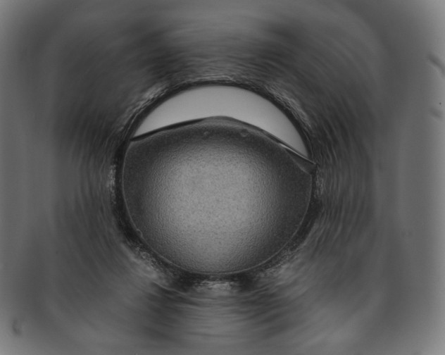 X0000091180260200709060959