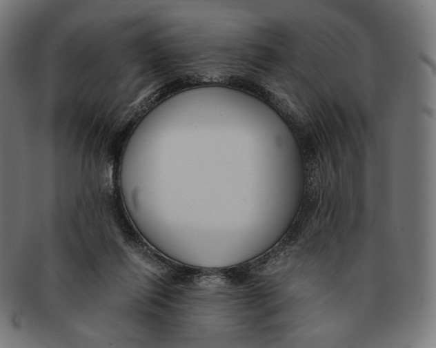 X0000091180262200709061000