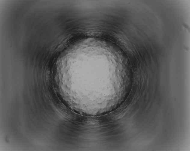 X0000091180263200709061000