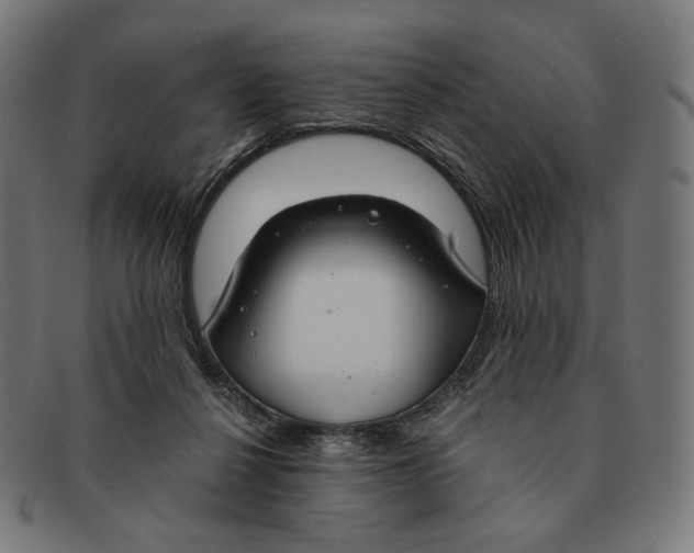 X0000091180264200709061000