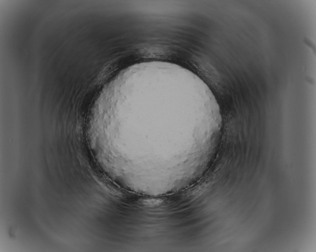 X0000091180265200709061000