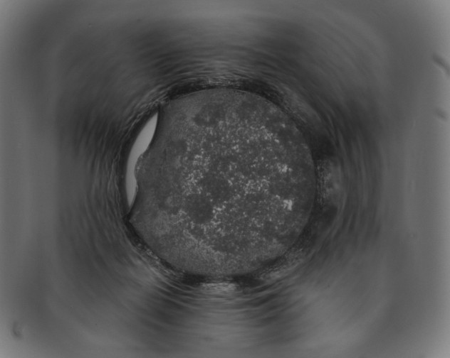 X0000091180266200709061000