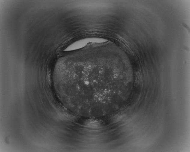 X0000091180267200709061000