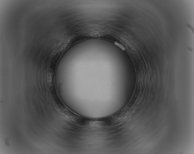 X0000091180268200709061000