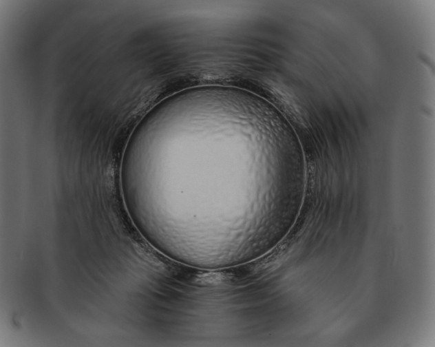 X0000091180269200709061000