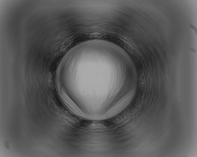 X0000091180270200709061000