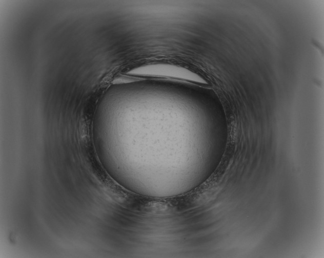 X0000091180272200709061000