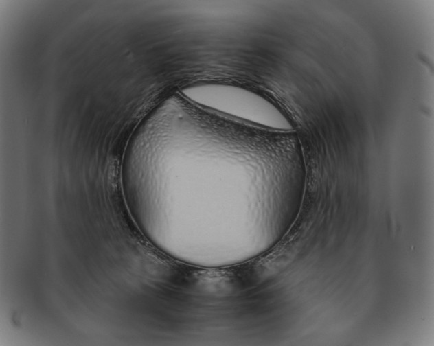 X0000091180273200709061000