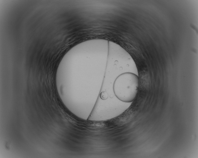 X0000091180274200709061000
