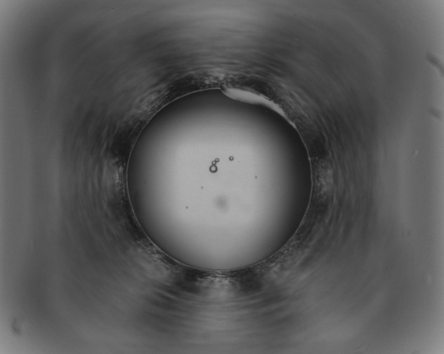 X0000091180276200709061000